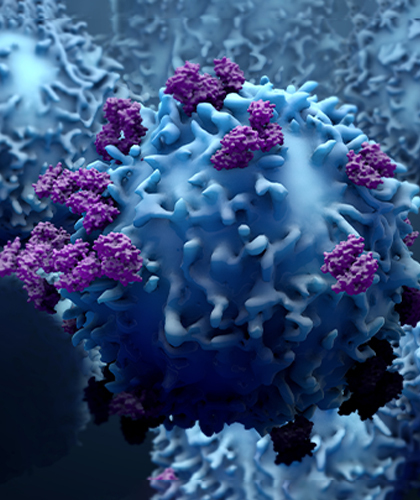  Immunotherapy to Treat Cancer image